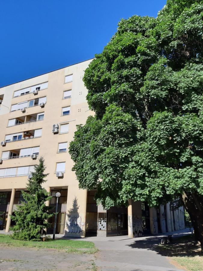Penzión pre hostí Rooms Vukovarska